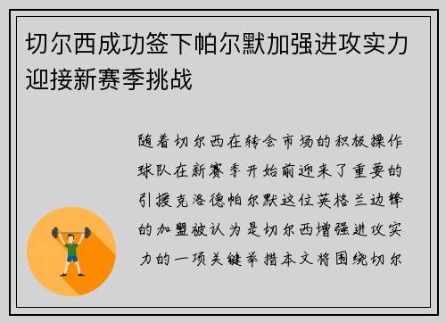 切尔西成功签下帕尔默加强进攻实力迎接新赛季挑战